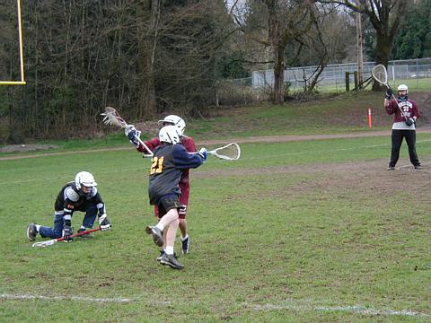 pictureperfectcrosscheck.jpg